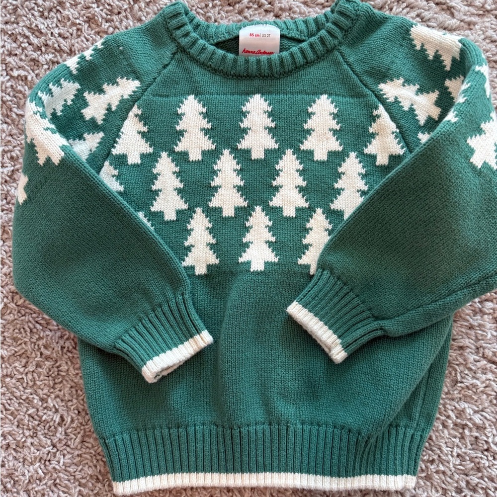 2T Boys Hanna Andersson Christmas sweater